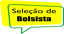 logo-bolsista