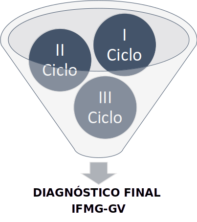 Reunião dos Ciclos da Autoavaliação Institucional.png