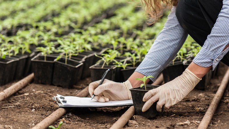 13 de Março - Dia do Técnico em Meio Ambiente — Instituto Federal de Educação, Ciência e Tecnologia de Minas Gerais Campus Governador Valadares