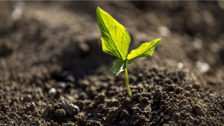 15 04 - Dia Nacional da Conservação do Solo