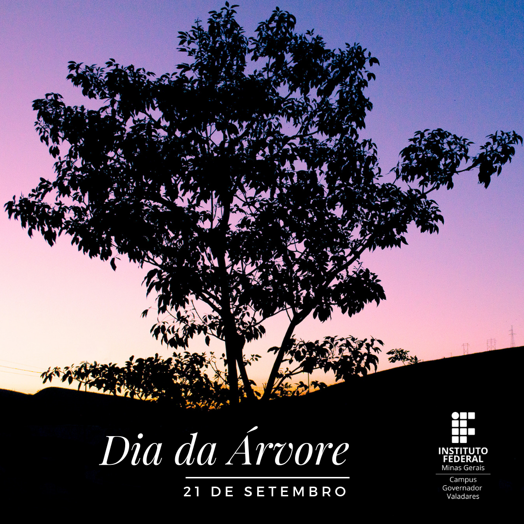 Dia da Árvore