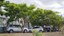 Árvores do IFMG - Campus Governador Valadares (4).jpg