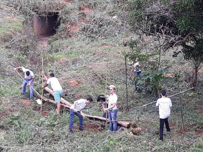 Plantio mudas nativas em Timóteo