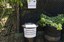 Compostagem
