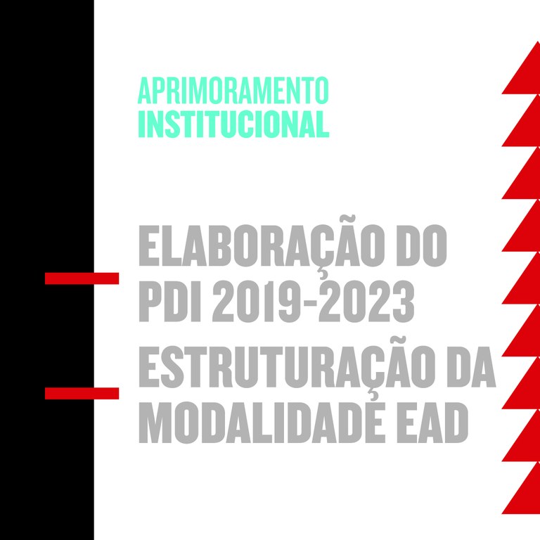 Relatório de Gestão IFMG 2019_09