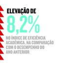 Relatório de Gestão IFMG 2019_10