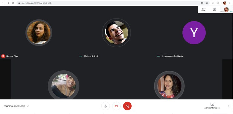 Reunião do Programa de Mentoria Online