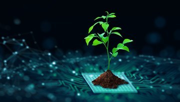 Mestrado Sustentabilidade e Tecnologia Ambiental_IFMG Campus Bambuí.jpeg