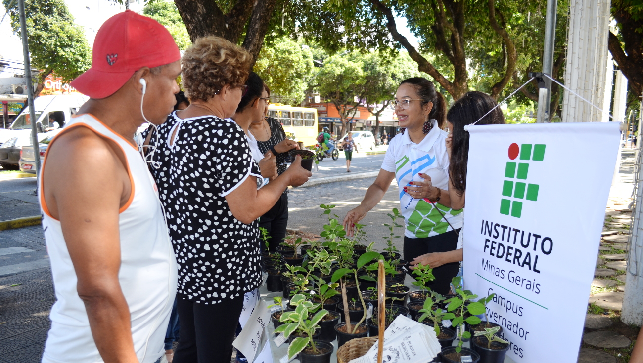 Doação de mudas de plantas medicinais à comunidade