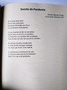 Soneto da Pandemia - de Daniela Martins Cunha