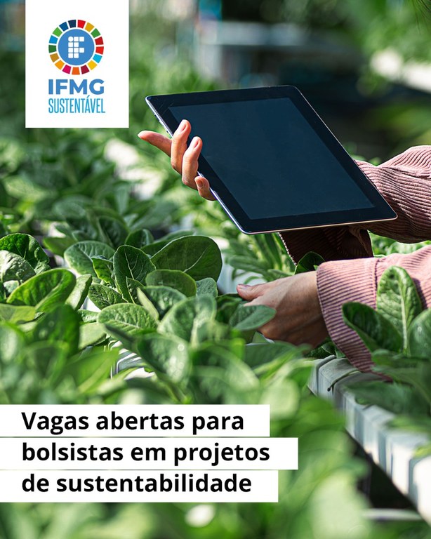 sustentabilidade