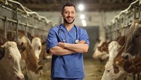 Médico veterinário com uniforme azul e estetoscópio diante de curral com gado.