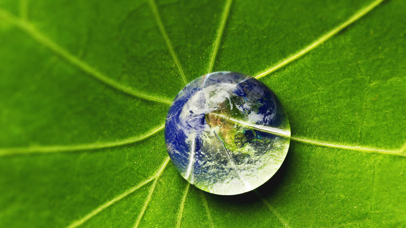 Gota de água sobre folha se assemelha a Planeta Terra