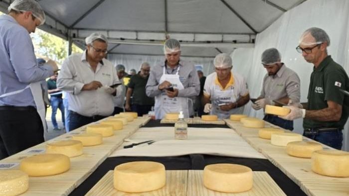 Queijo concurso Canastra 2025 3.jpeg