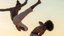 portal -capoeira.jpg