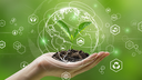 Mestrado em Sustentabilidade recebe inscrições