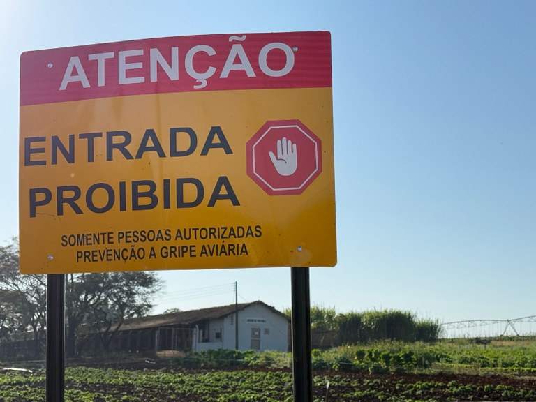 Acesso aos aviários é feito de forma controlada