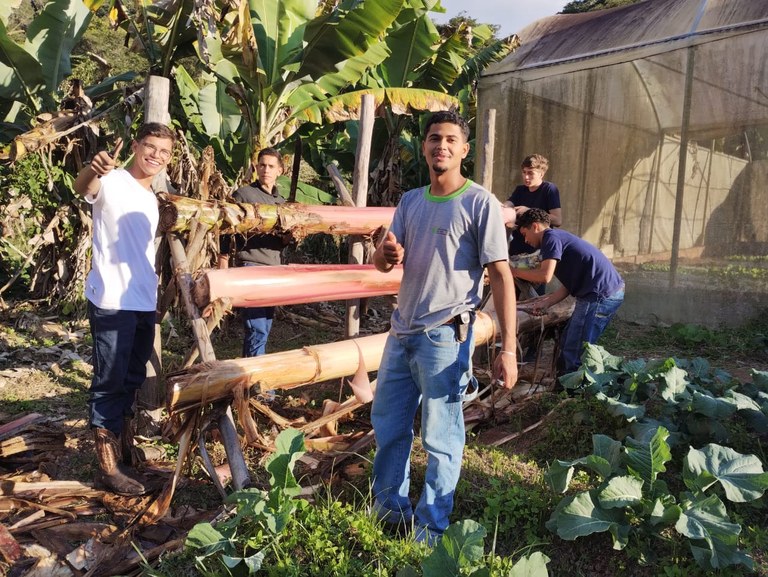 Núcleo de Estudos em Sustentabilidade Ambiental, Agroecologia e Diversidade (Nesad)