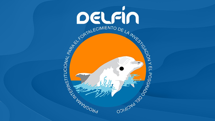site-delfin.png