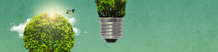 imagem conceito de lampada de onde nasce arbusto, com passaros voando