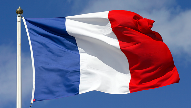 site-frances.png